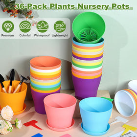 Hahood pots with drainage holes and trays support healthy roots.