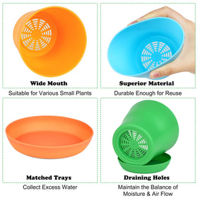 Hahood drainage hole and tray system supports healthy watering and surface protection.