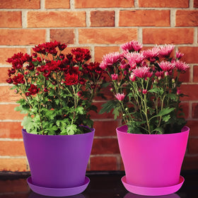 Hahood durable resin planters in multiple colors for year-round use.
