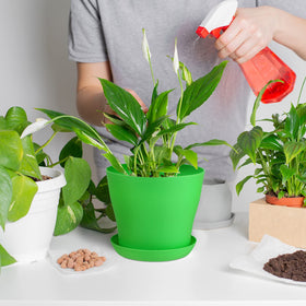 Hahood indoor-outdoor nursery pots for versatile planting setups.