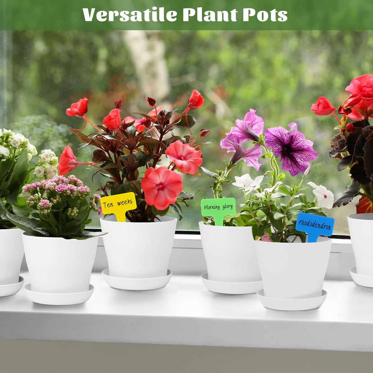 Hahood planters suitable for indoor and outdoor setups on balcony or desk