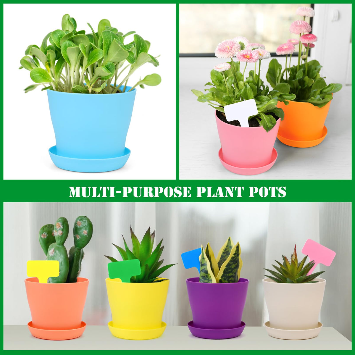 Hahood indoor-outdoor use supports herbs, succulents, and florals