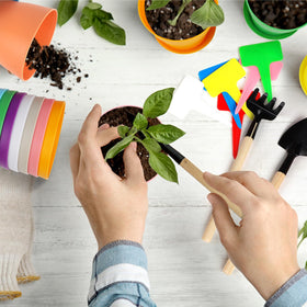 Hahood versatile planters for indoor and outdoor use on desks or balconies.