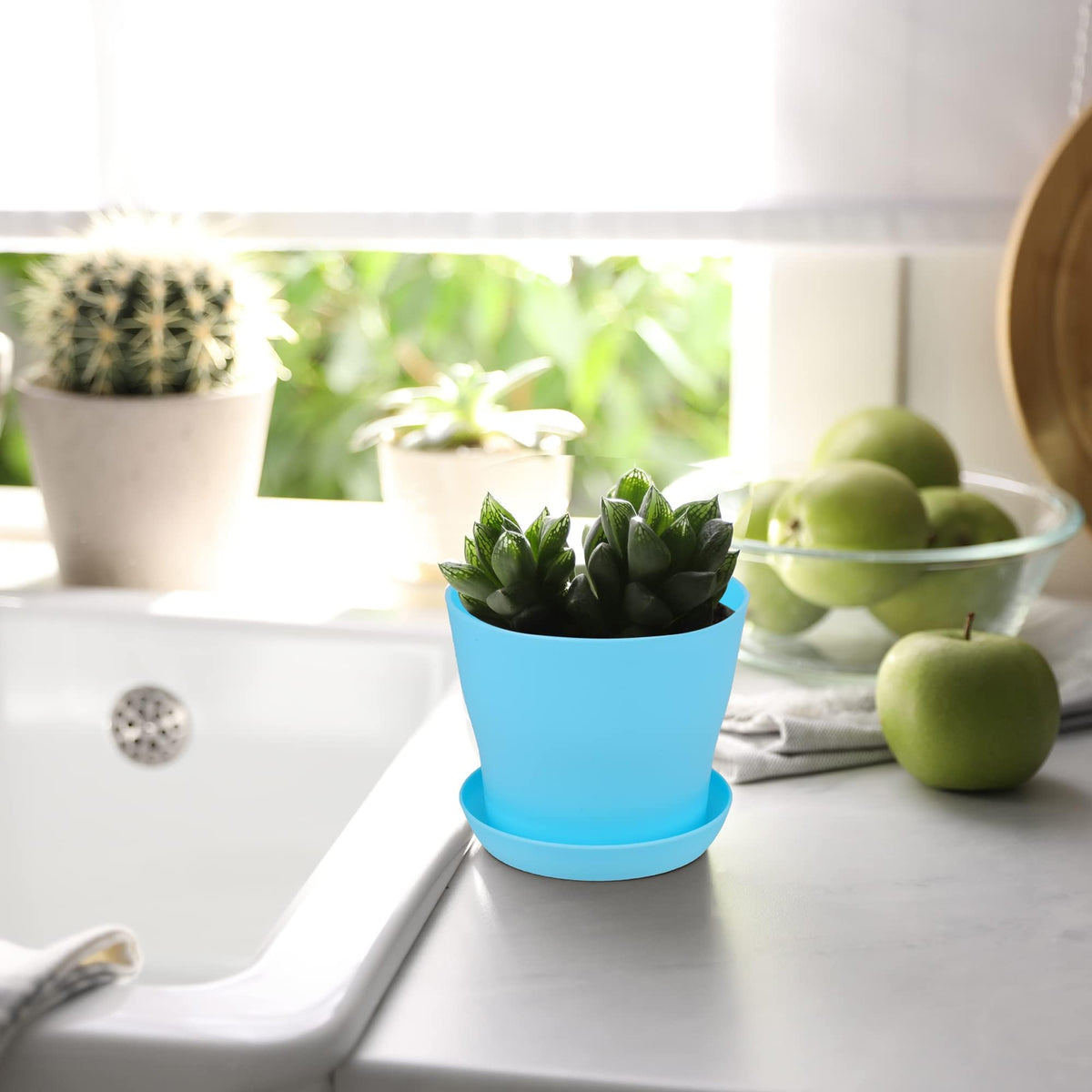 Hahood versatile pots for succulents, herbs, and vegetables in any space.