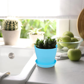 Hahood versatile pots for succulents, herbs, and vegetables in any space.