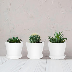 Hahood multipurpose pots suitable for indoor and outdoor gardening