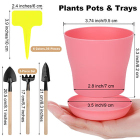 Hahood pot with 9.5 cm top diameter and 8.2 cm height for seedlings.