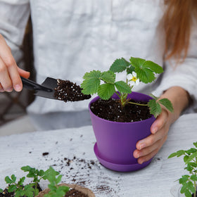 Hahood includes labels and tools to track seedlings