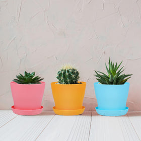 Hahood seedling nursery pots suitable for indoor and outdoor starts.