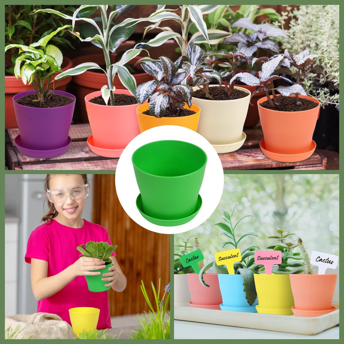 Hahood succulent and herb pots ideal for gift-ready garden sets and displays.