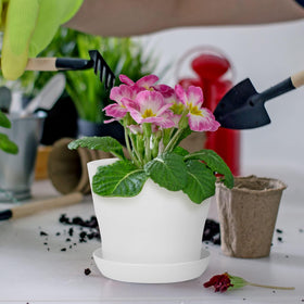 Hahood includes colorful plant tags for labeling