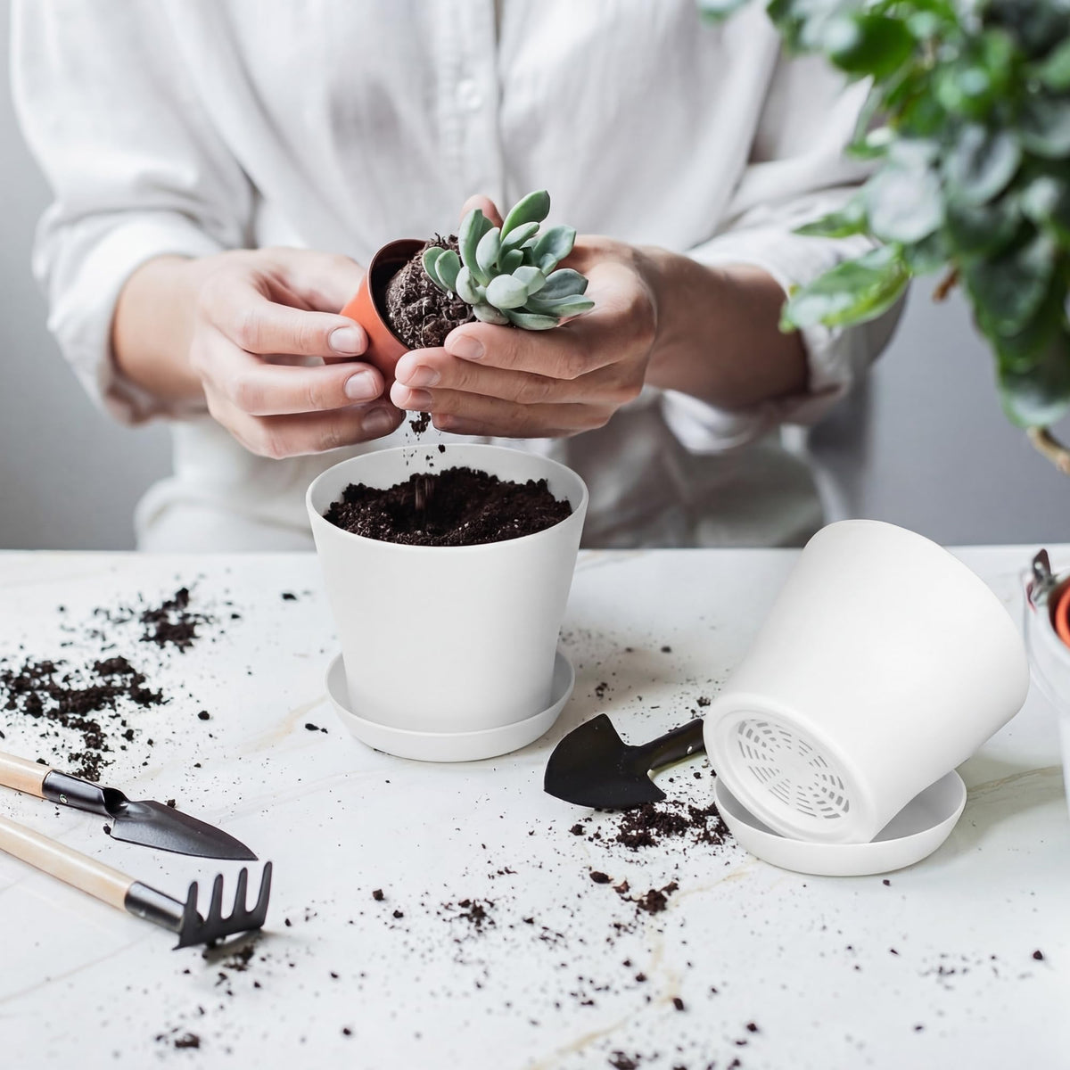 Hahood planters ideal for succulents herbs and vegetables in home spaces