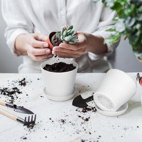 Hahood planters ideal for succulents herbs and vegetables in home spaces