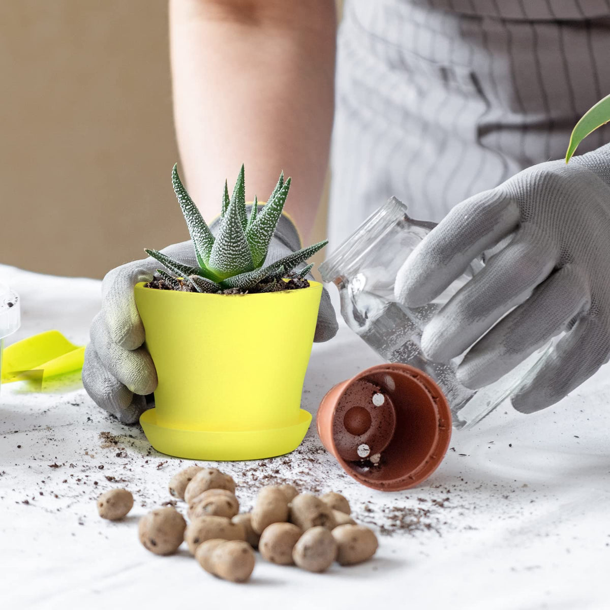 Hahood 3.74-inch top diameter offers space for mini plants