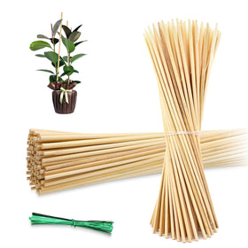 HAINANSTRY bamboo plant stake 18-inch supports upright growth in gardens