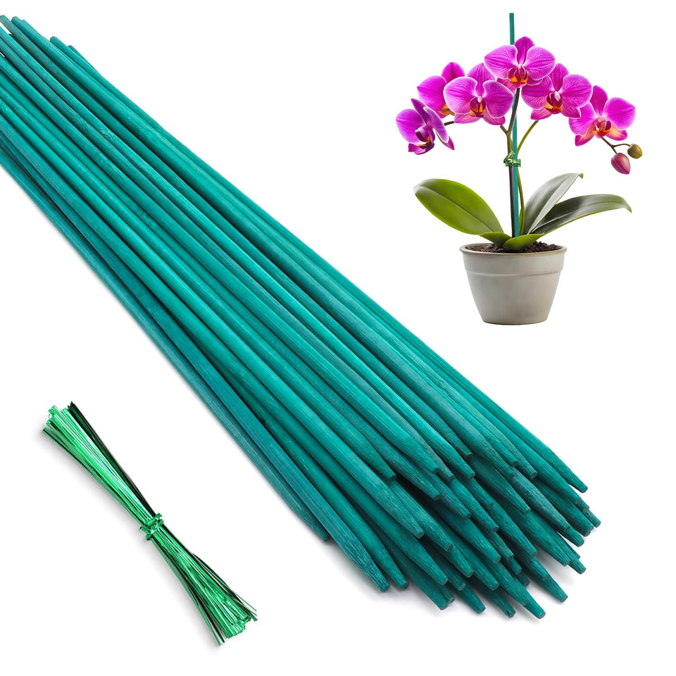 HAINANSTRY bamboo plant stakes 18 inch provide strong support for potted plants.