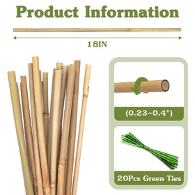 HAINANSTRY bamboo-plant-support-stakes for indoor-outdoor use help tomatoes and flowers stand tall.