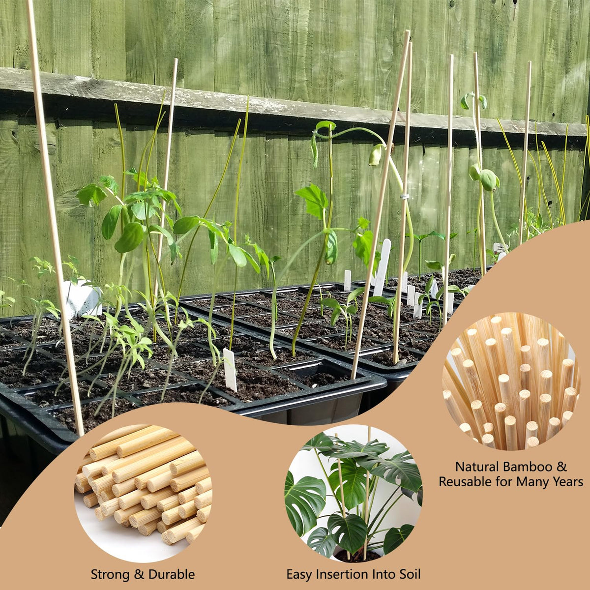 HAINANSTRY natural bamboo stake blends with indoor and outdoor greenery