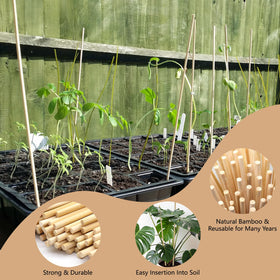 HAINANSTRY natural bamboo stake blends with indoor and outdoor greenery