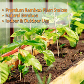 HAINANSTRY bamboo stake ideal for tomato seedlings and small climbing plants