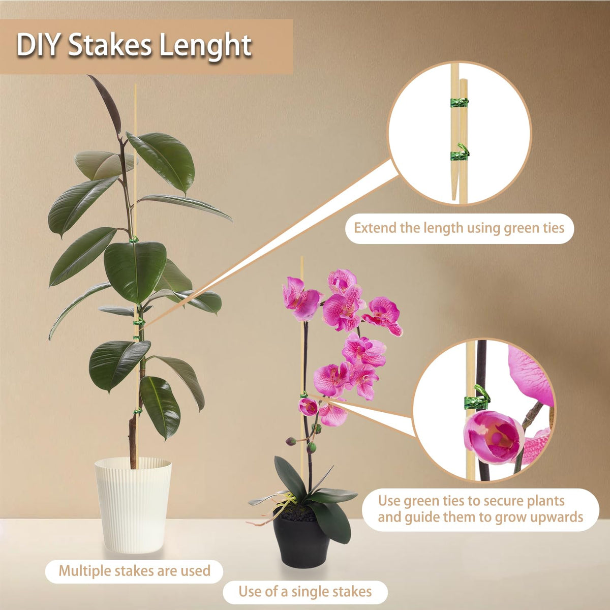 HAINANSTRY orchid-support bamboo stake inserted in pot for steady blooms