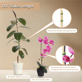 HAINANSTRY orchid-support bamboo stake inserted in pot for steady blooms