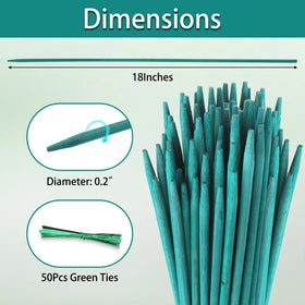 HAINANSTRY stakes with pointed tips for easy soil insertion and upright growth.