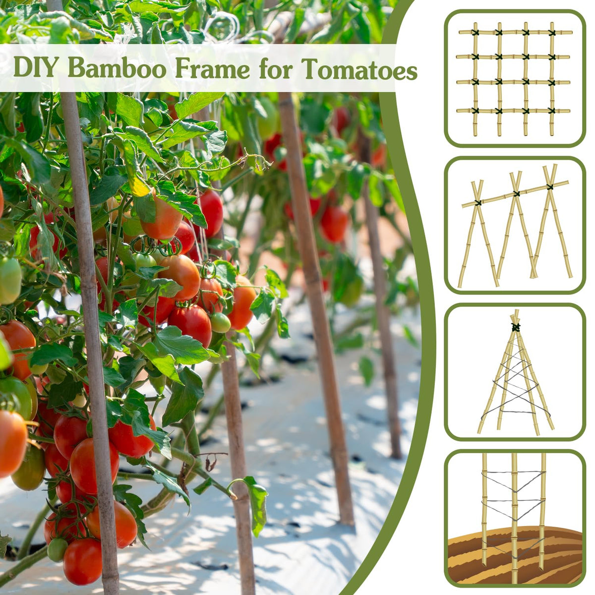 HAINANSTRY bean stake bamboo supports climbing beans and vegetables.