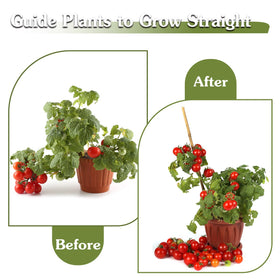 HAINANSTRY easy-in-use-garden-stakes aid quick stake installation for thriving plants.
