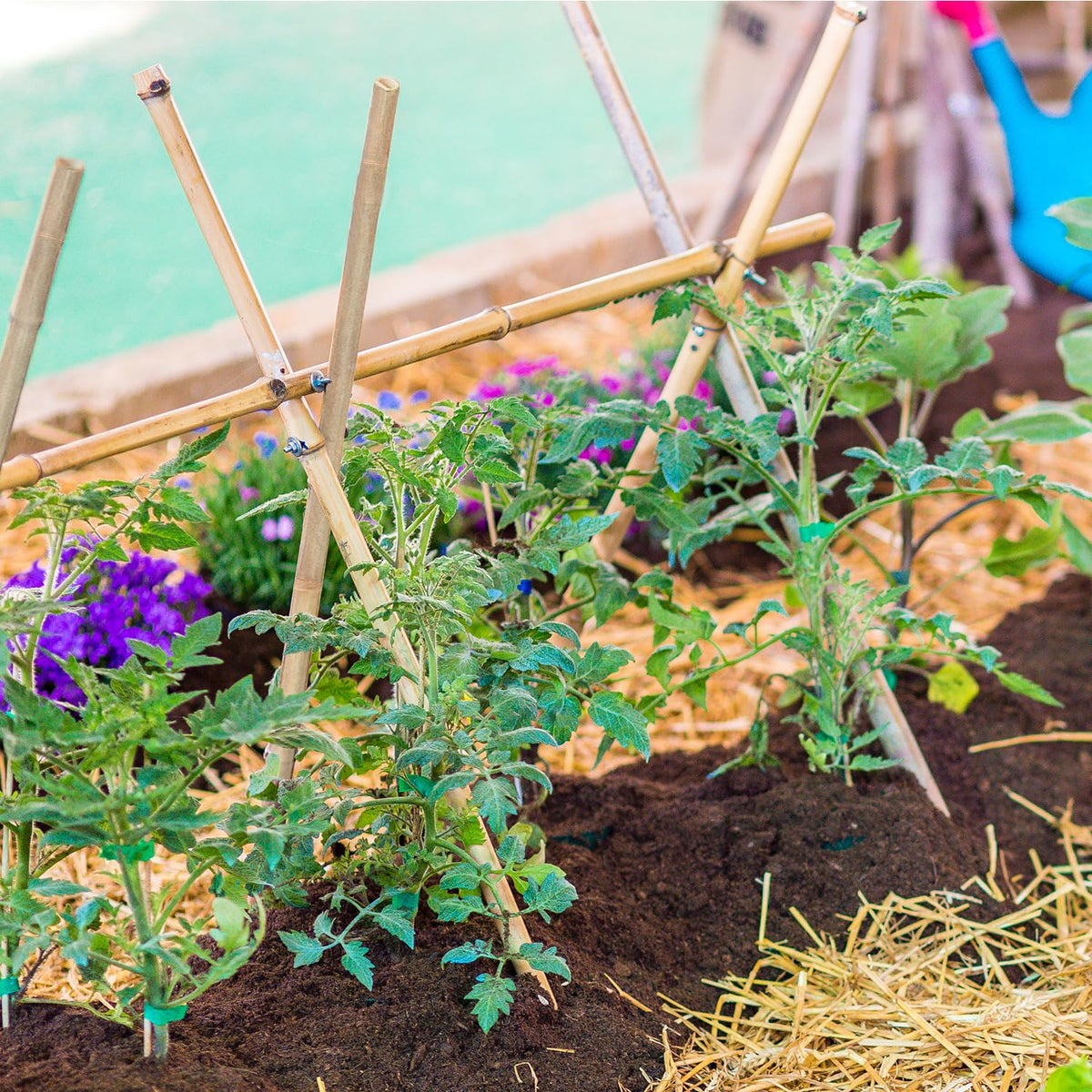 HAINANSTRY eco-friendly-bamboo-stakes offer reusable solution for seasonal gardening.