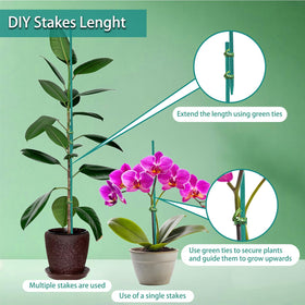 HAINANSTRY green ties included secure and adjustable plant support for training.