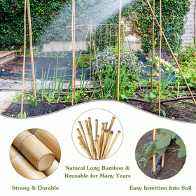 HAINANSTRY indoor-outdoor plant support keeps tomatoes and beans upright