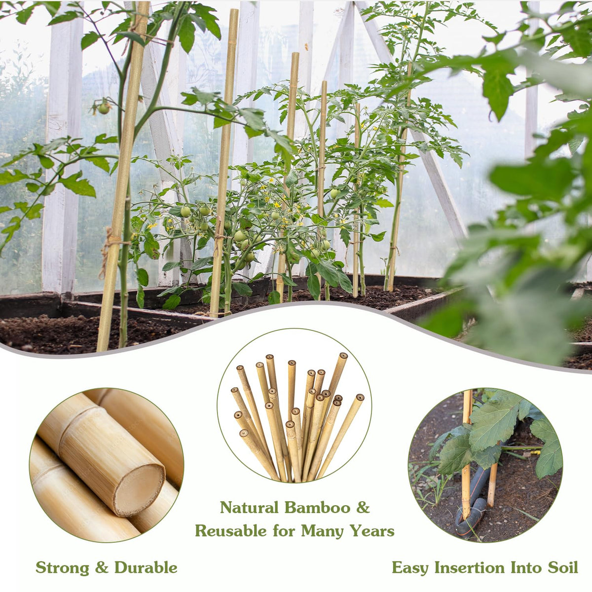 HAINANSTRY orchid-tomato-stakes demonstrate versatile garden support for delicate plants.