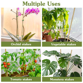 HAINANSTRY packaged-with-green-ties-20-pcs offer tidy support for home gardens.