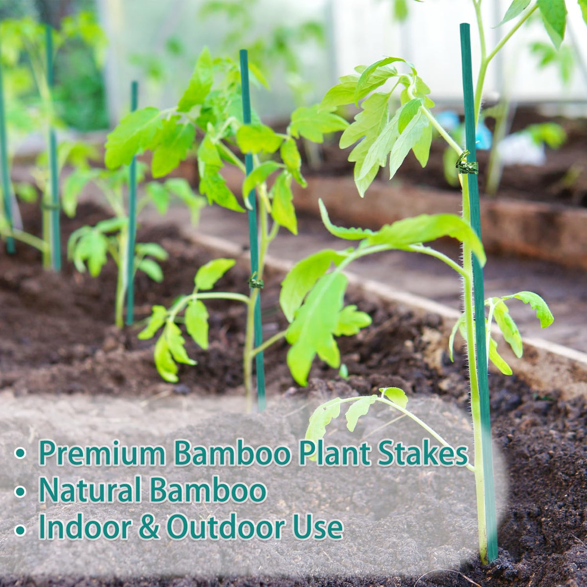HAINANSTRY natural bamboo stakes in a 50-piece package for durable garden support.