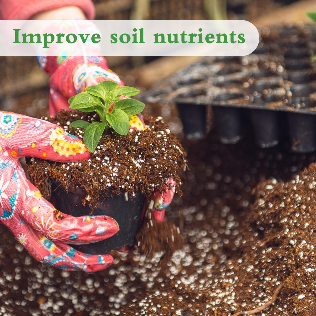 HAINANSTRY Perlite mixed with soil to boost aeration around plant roots