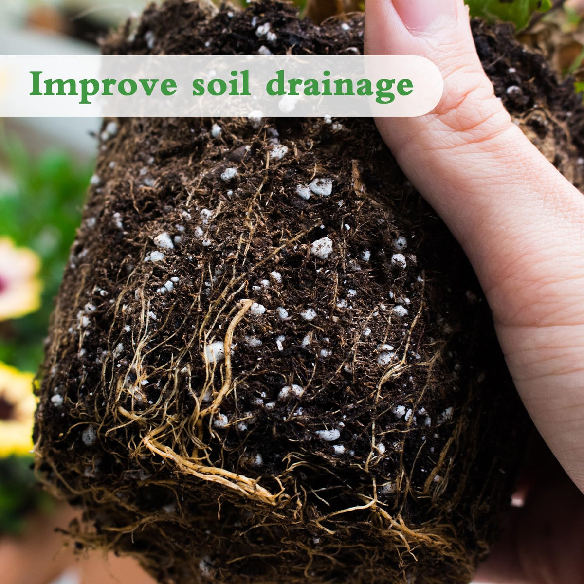 HAINANSTRY Perlite in pots enhances drainage for indoor and outdoor plants