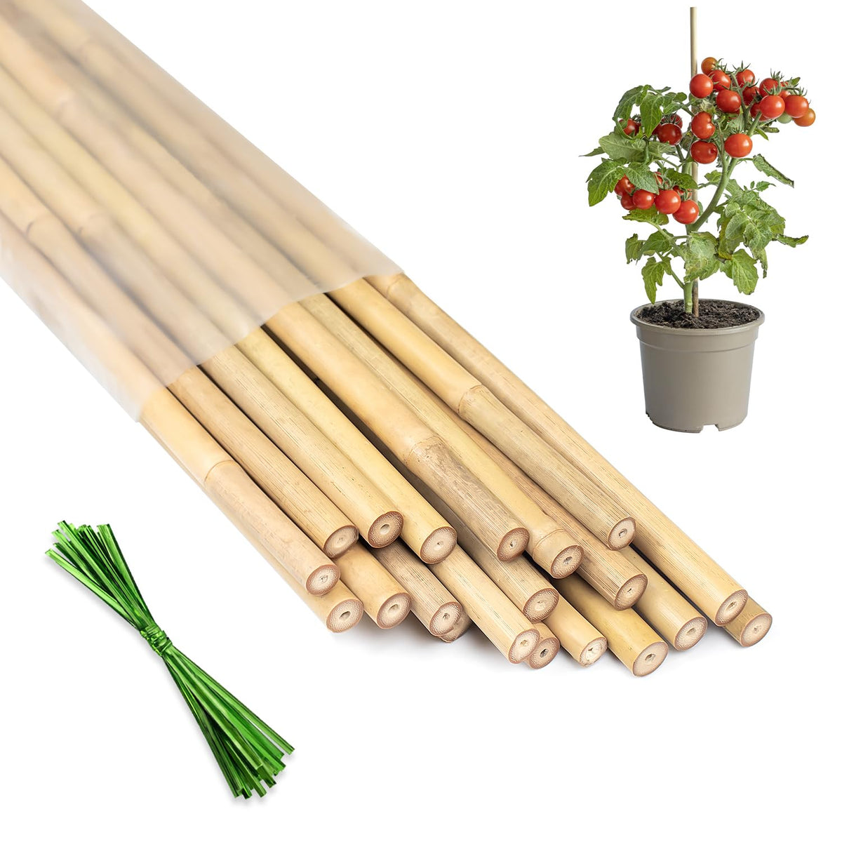 HAINANSTRY plant-stakes-18inch-20pcs provide sturdy bamboo support for potted plants.