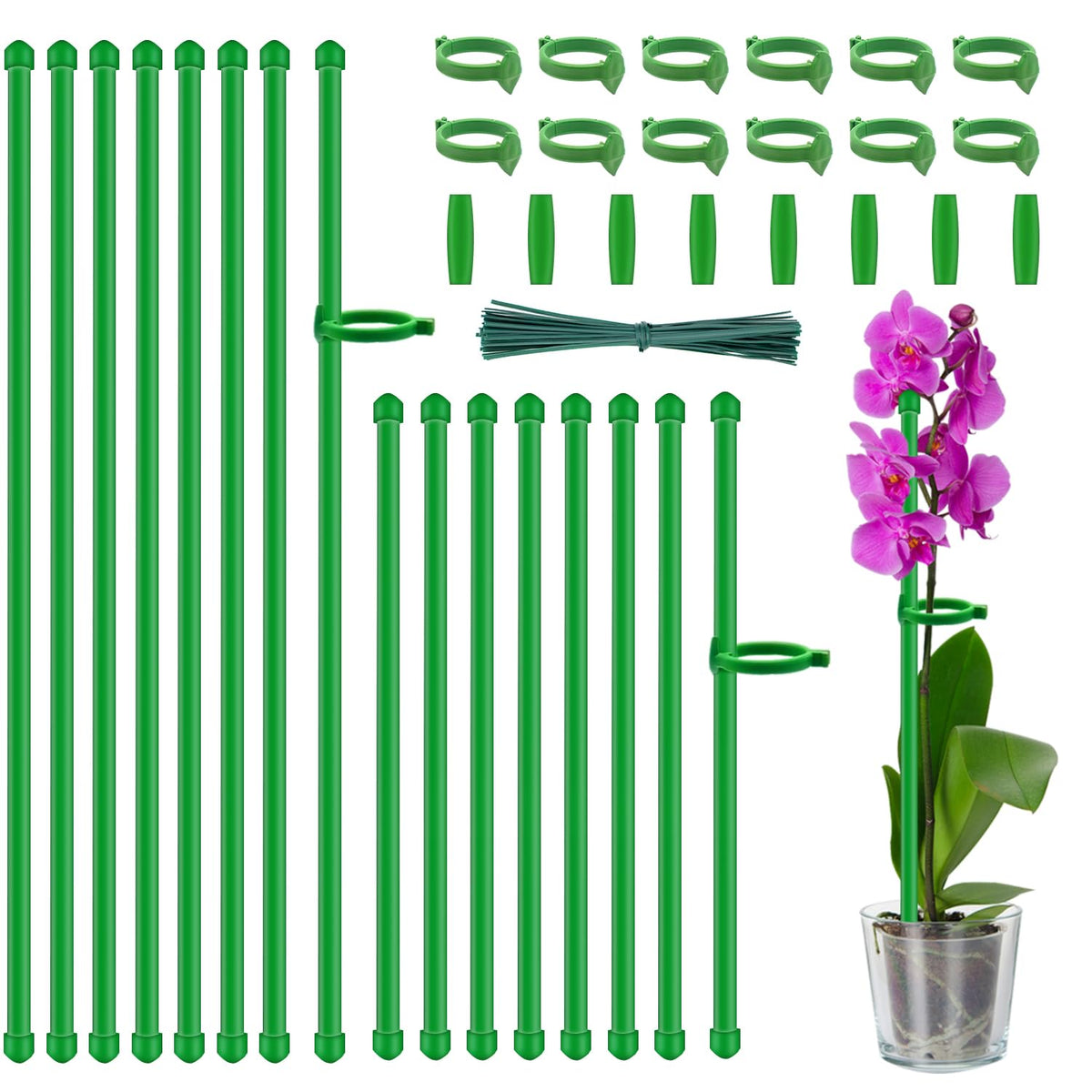 HAINANSTRY plant stakes 18-inch setup supporting tall vegetables