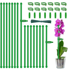 HAINANSTRY plant stakes 18-inch setup supporting tall vegetables