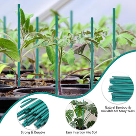 HAINANSTRY 50-piece package helps with staking, crafts, and garden organization.