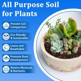Halatool bonsai soil mix stabilizes roots with balanced nutrients