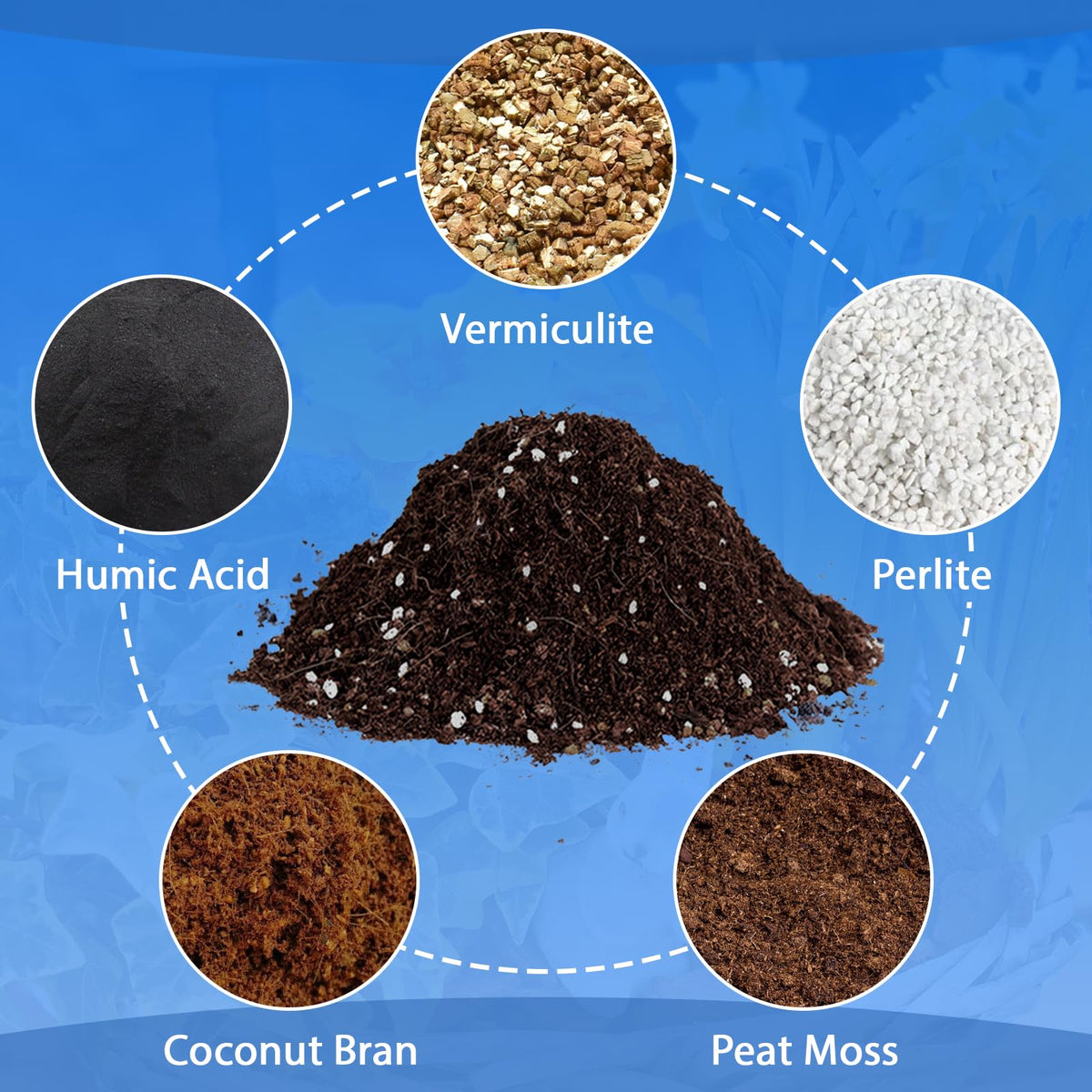Halatool potting soil for succulents with airy texture supporting healthy roots