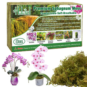Halatool 8oz green sphagnum moss brick expands for versatile plant applications.