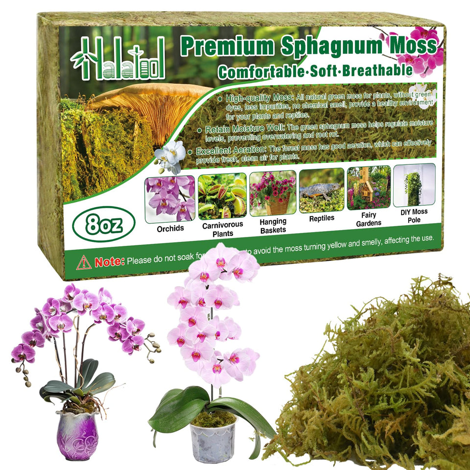 Halatool 8oz green sphagnum moss brick expands for versatile plant applications.