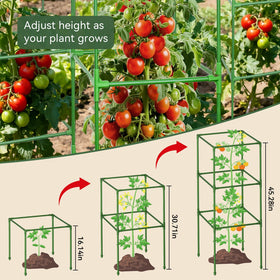 Halatool adjustable-height square trellis provides three levels for different crops