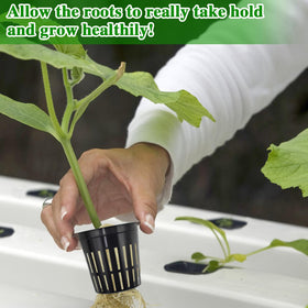 Halatool aquaponics starter kit for indoor grow setups