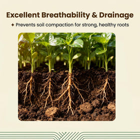 Halatool coco coir bricks soak and crumble for easy substrate mixing.