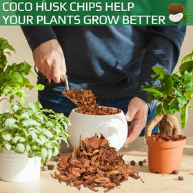 Halatool coco husk chips in pot supporting root health and growth