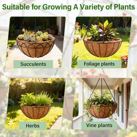 Halatool coconut liner decorative-basket 8in adds natural texture to displays.